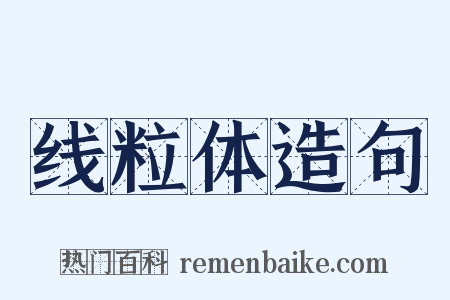 线粒体造句是什么意思的图片